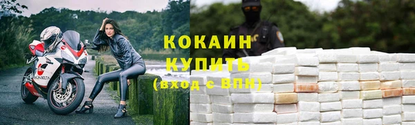 метадон Ельня