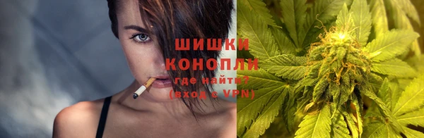 метадон Ельня