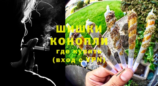 PSILOCYBIN Елабуга