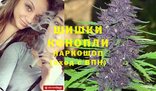 метадон Ельня