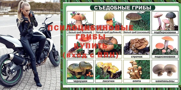 метадон Ельня
