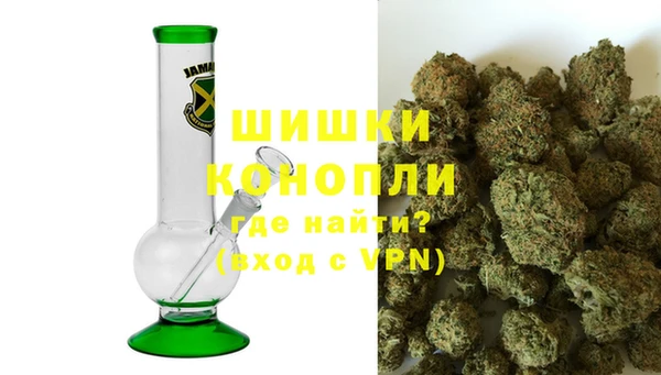 PSILOCYBIN Елабуга