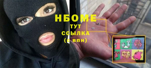 метадон Ельня