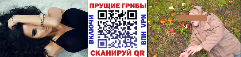 Псилоцибиновые грибы Psilocybe Ярославль